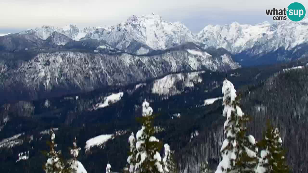 Webcam Koča na Golici (1582 m) – Slovenia