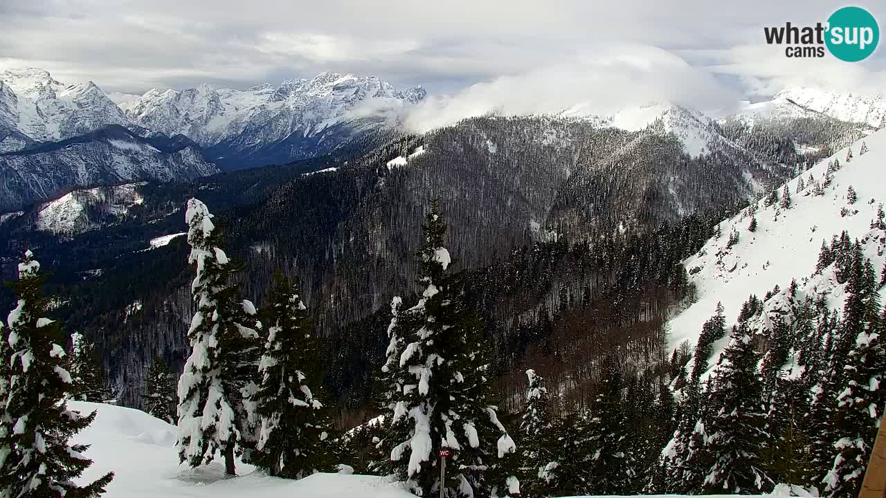 Spletna kamera Koča na Golici (1582 m) – Jesenice