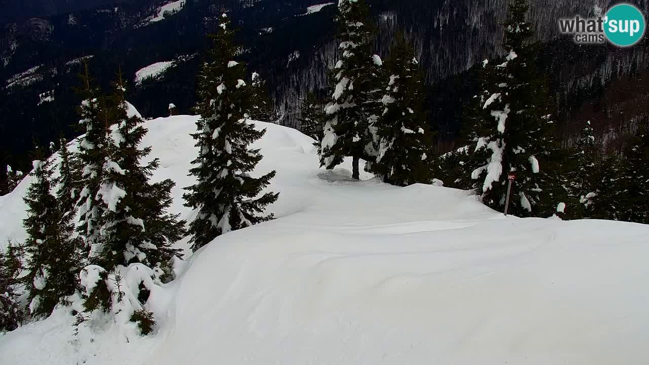 Webcam en Golica (1582 m) – Eslovenia