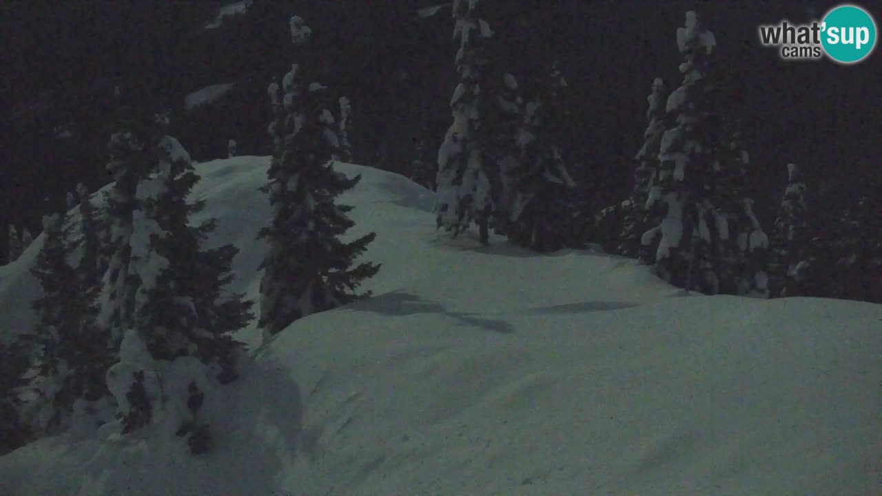 Spletna kamera Koča na Golici (1582 m) – Jesenice