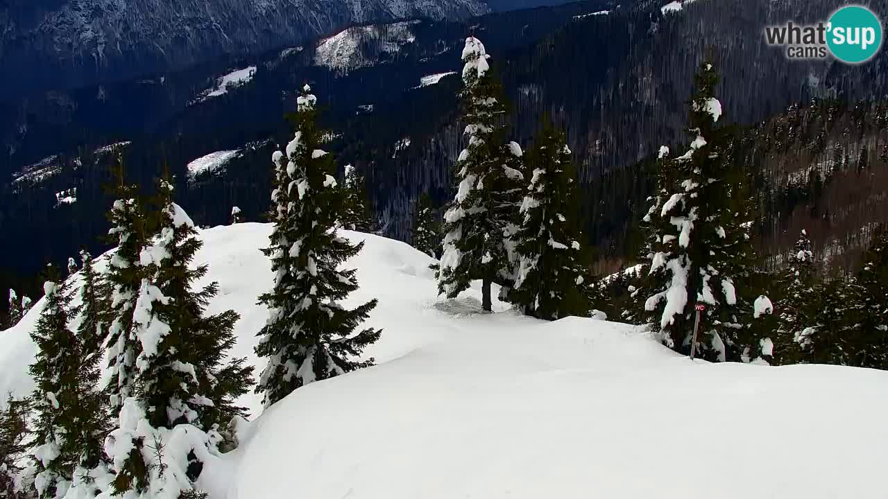 Webcam en Golica (1582 m) – Eslovenia