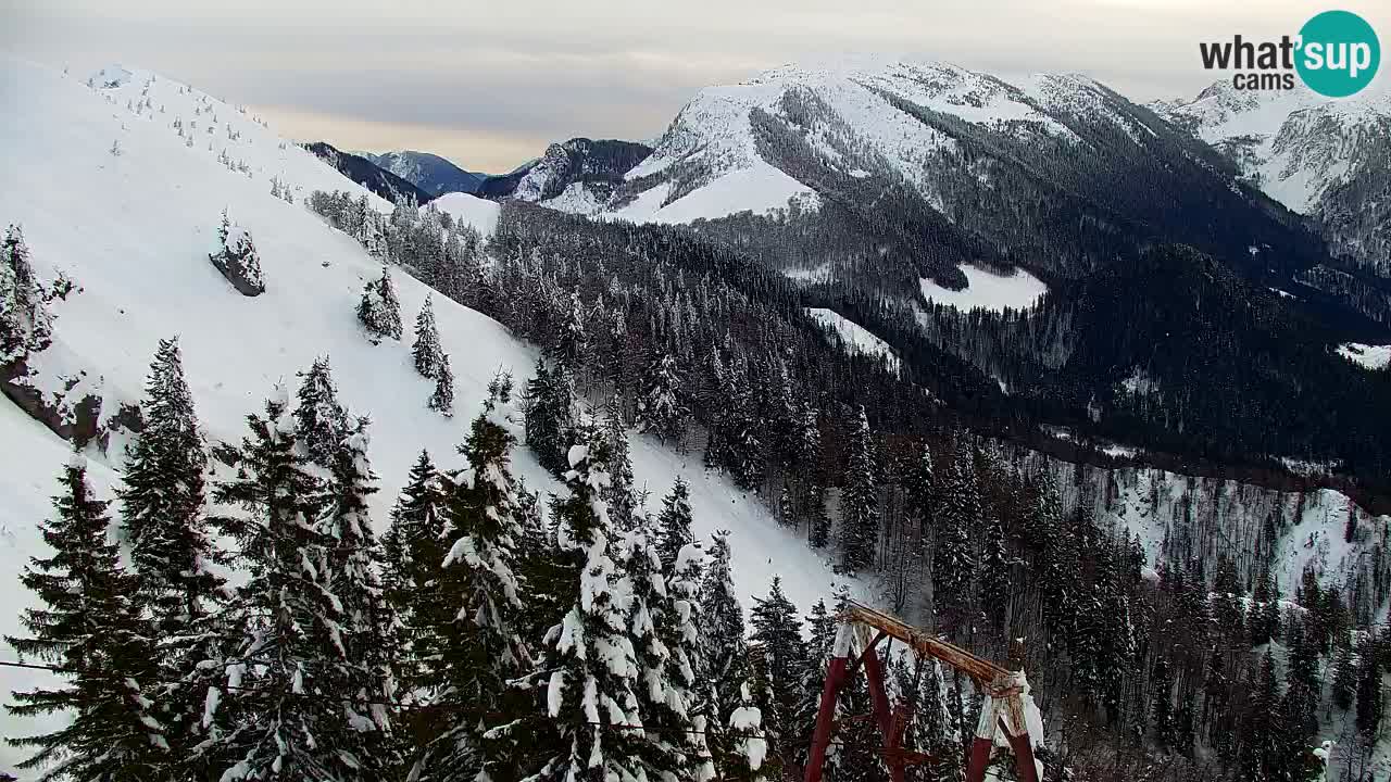 Webcam en Golica (1582 m) – Eslovenia