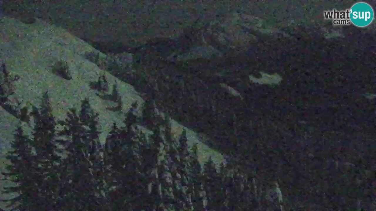 Spletna kamera Koča na Golici (1582 m) – Jesenice