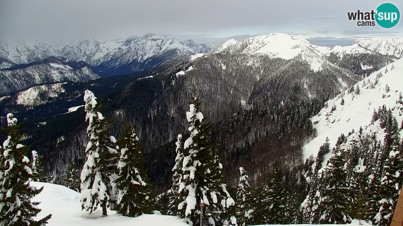Koča na Golici Webcam (1582 m) – Slowenien