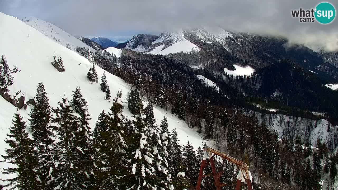 Web kamera Koča na Golici (1582 m) – Slovenija