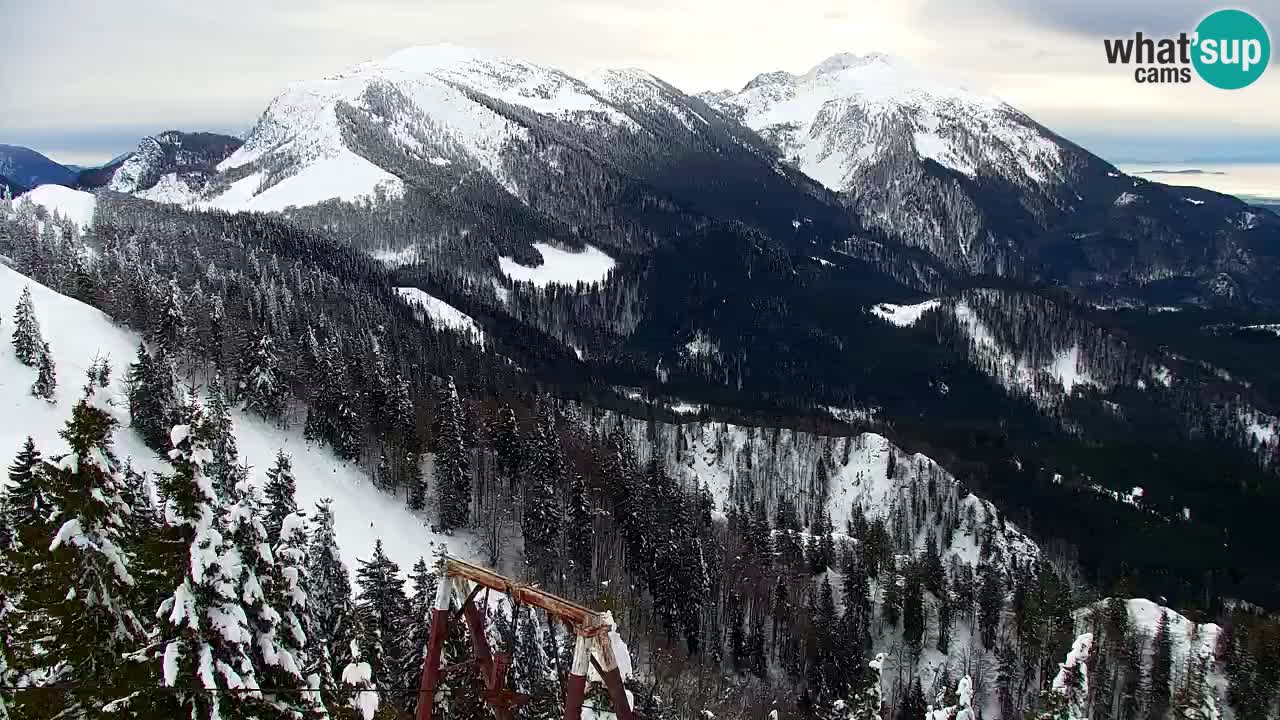 Webcam Koča na Golici (1582 m) – Slovenia