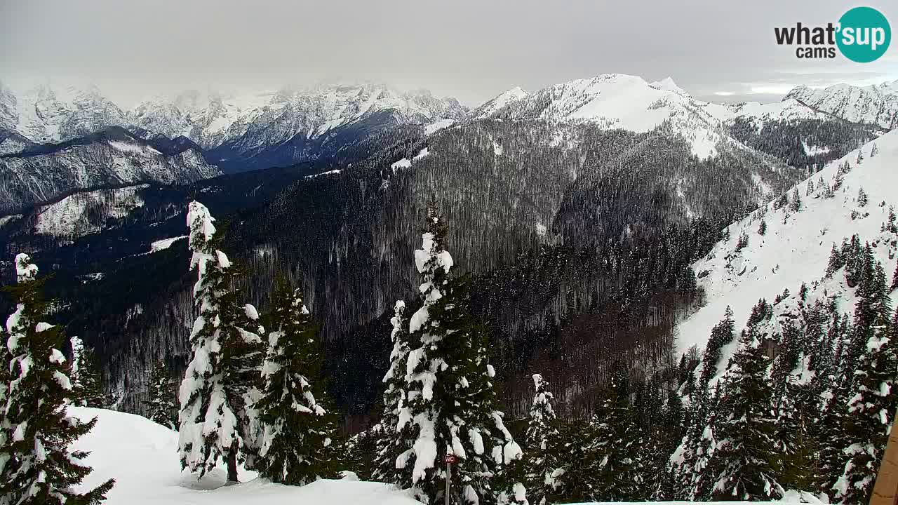 Web kamera Koča na Golici (1582 m) – Slovenija