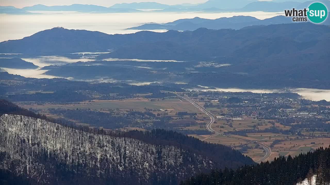 Webcam Koča na Golici (1582 m) – Slovenia