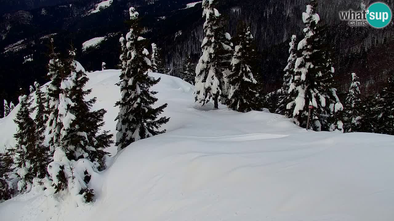 Spletna kamera Koča na Golici (1582 m) – Jesenice