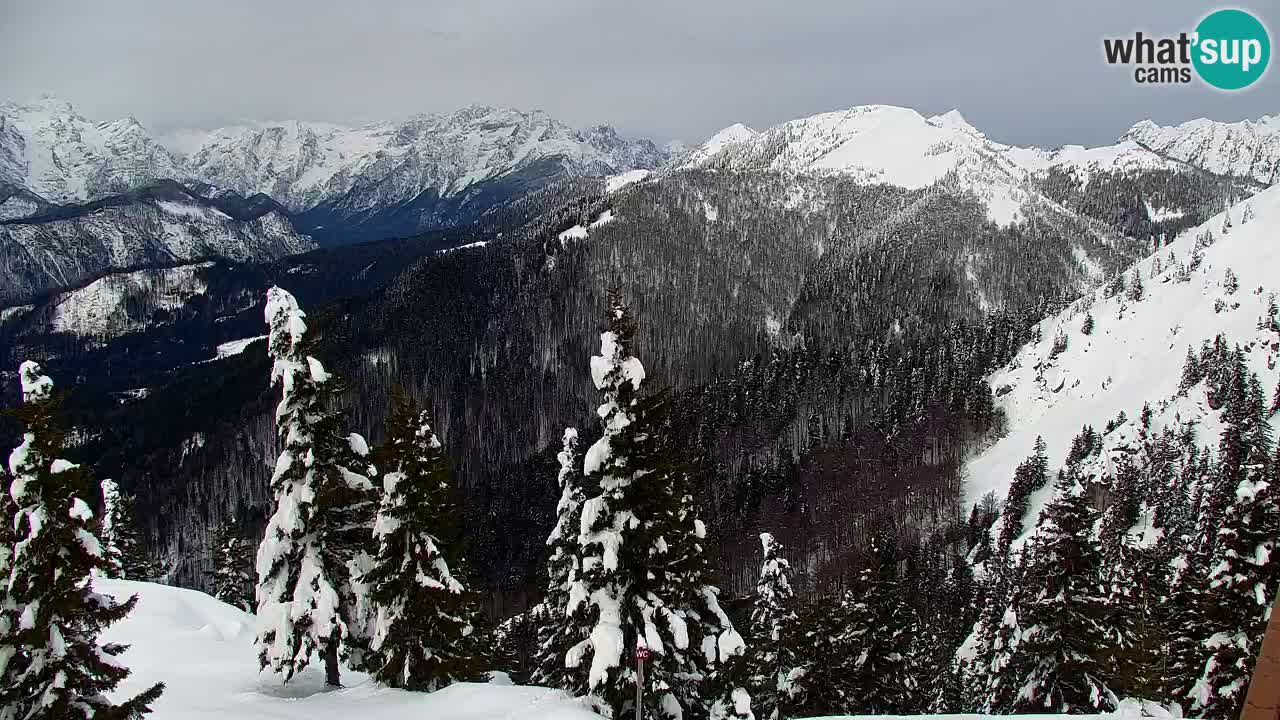 Spletna kamera Koča na Golici (1582 m) – Jesenice