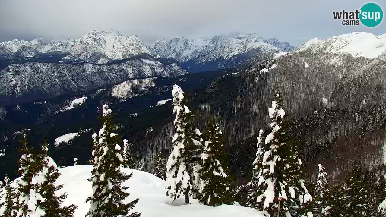 Koča na Golici Webcam (1582 m) – Slowenien