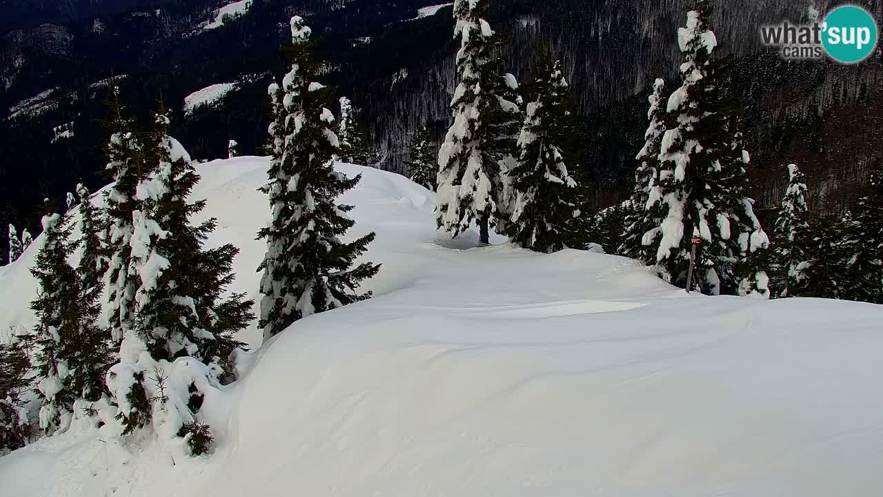 Webcam en Golica (1582 m) – Eslovenia