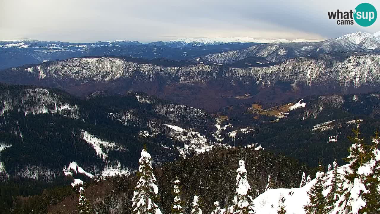 Spletna kamera Koča na Golici (1582 m) – Jesenice