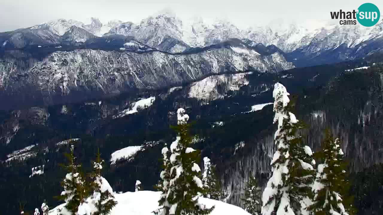 Spletna kamera Koča na Golici (1582 m) – Jesenice