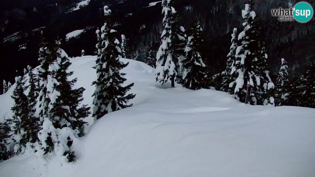 Koča na Golici Webcam (1582 m) – Slowenien