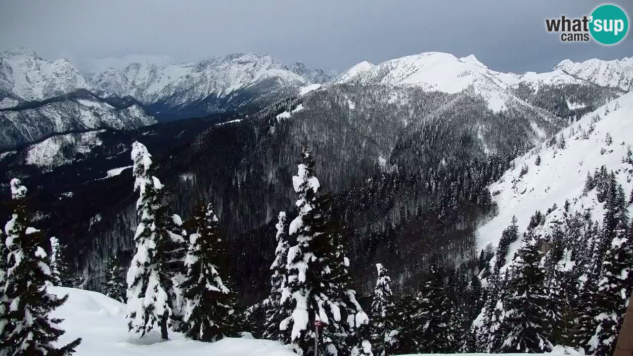 Webcam Chalet sur Golica (1582 m) – Slovénie