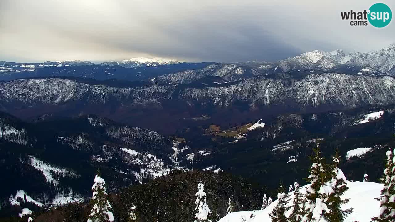 Webcam Koča na Golici (1582 m) – Slovenia