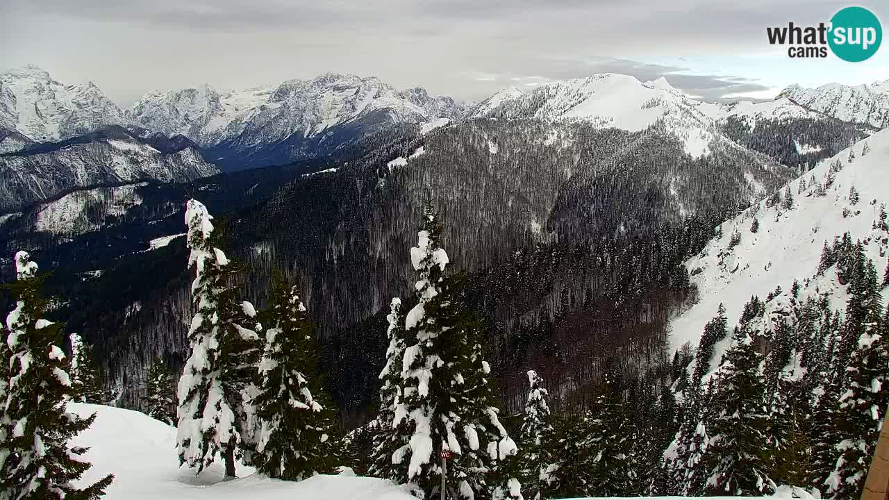 Web kamera Koča na Golici (1582 m) – Slovenija