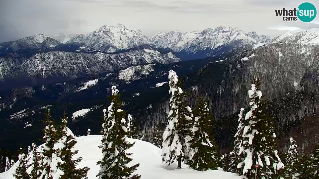 Webcam na Golici – Baita di montagna (1582 m) – Slovenia