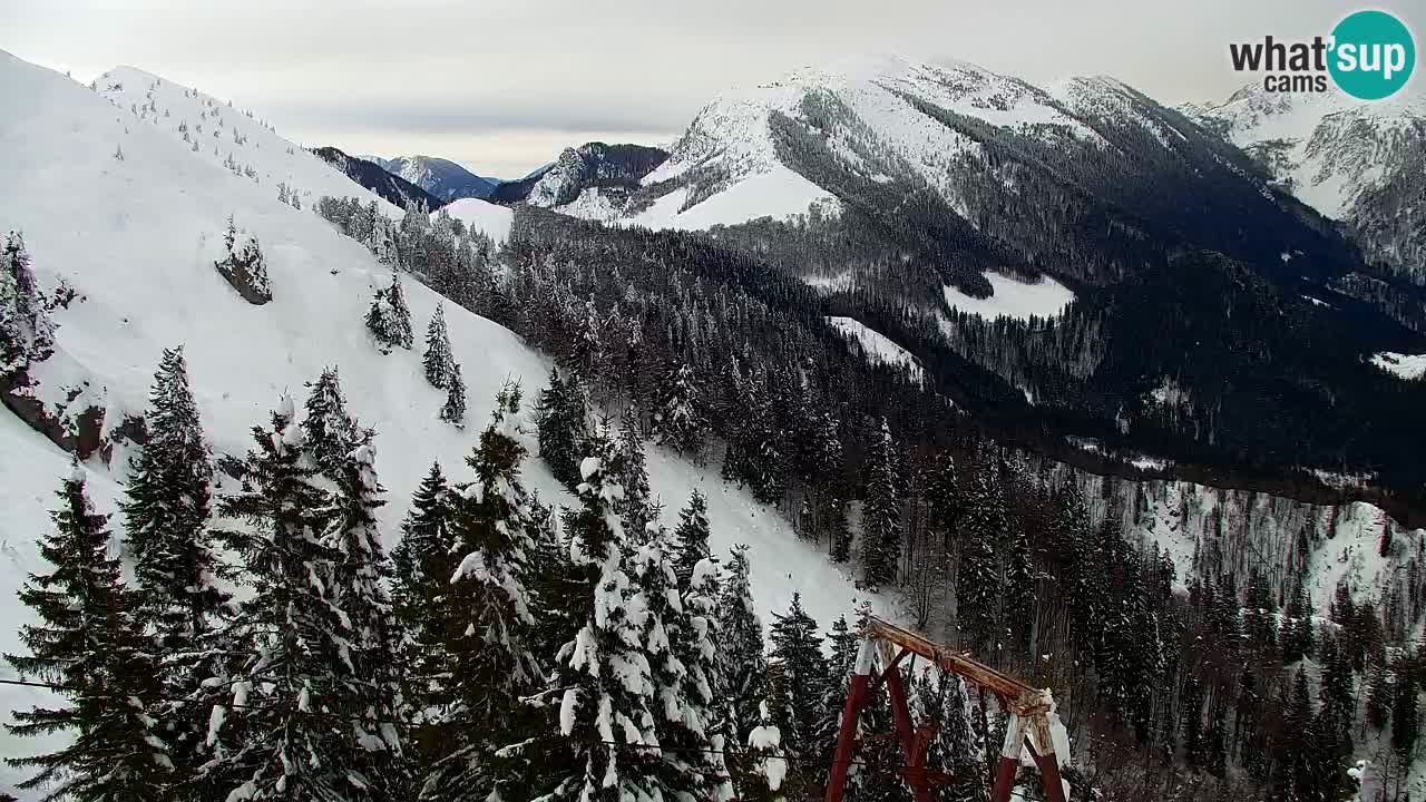 Webcam Chalet sur Golica (1582 m) – Slovénie