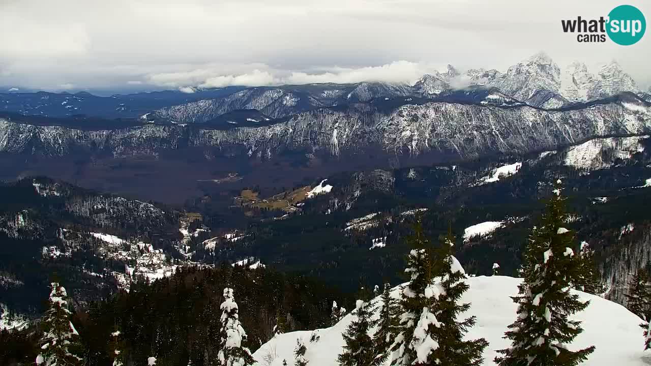 Webcam Koča na Golici (1582 m) – Slovenia