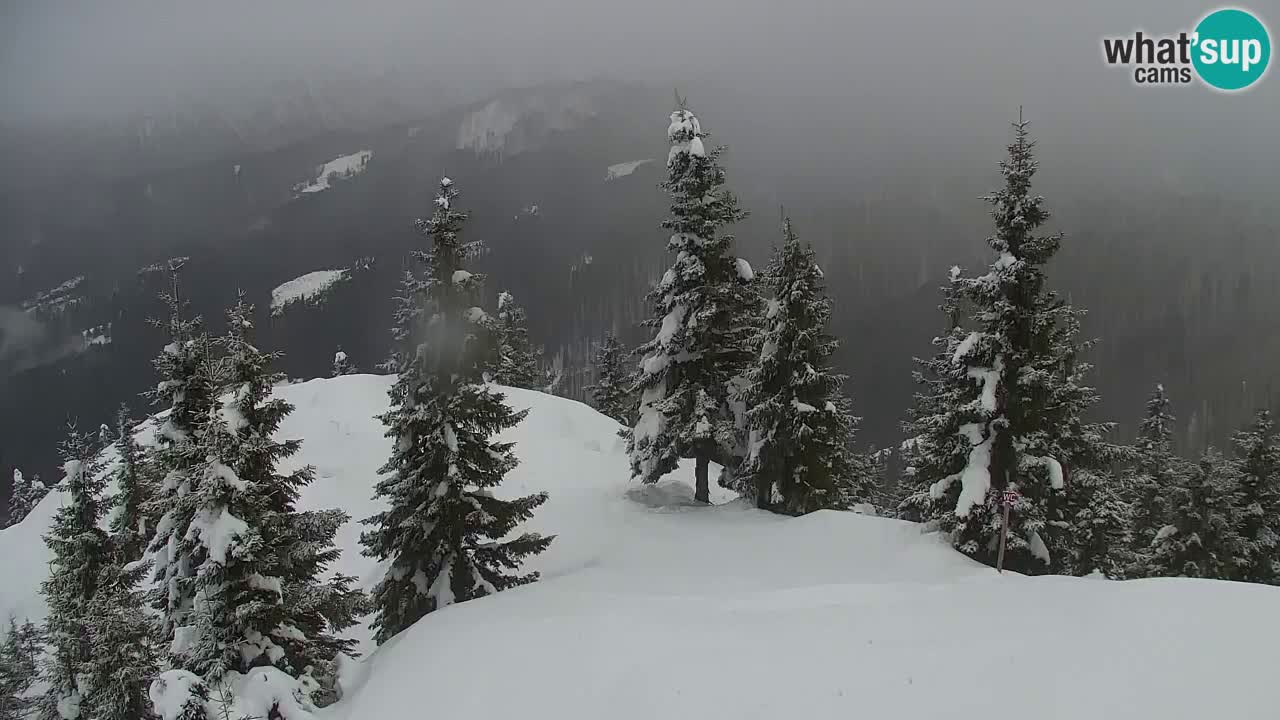 Webcam Chalet sur Golica (1582 m) – Slovénie