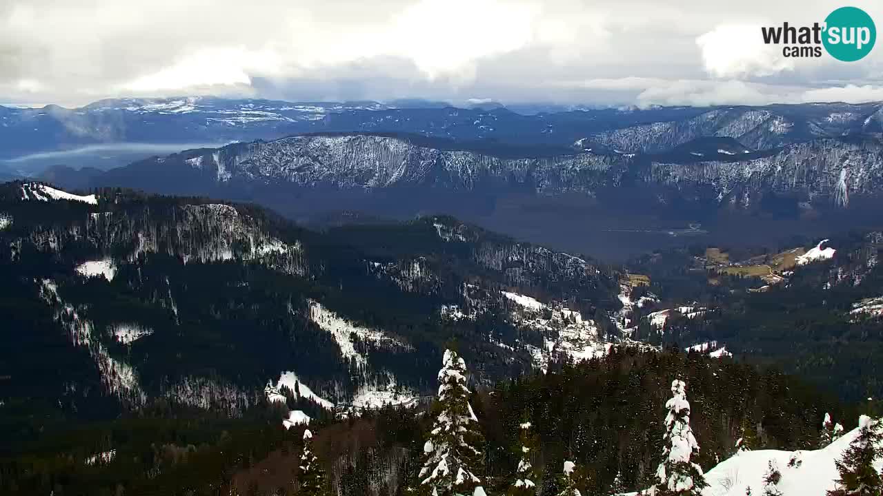 Webcam na Golici – Baita di montagna (1582 m) – Slovenia
