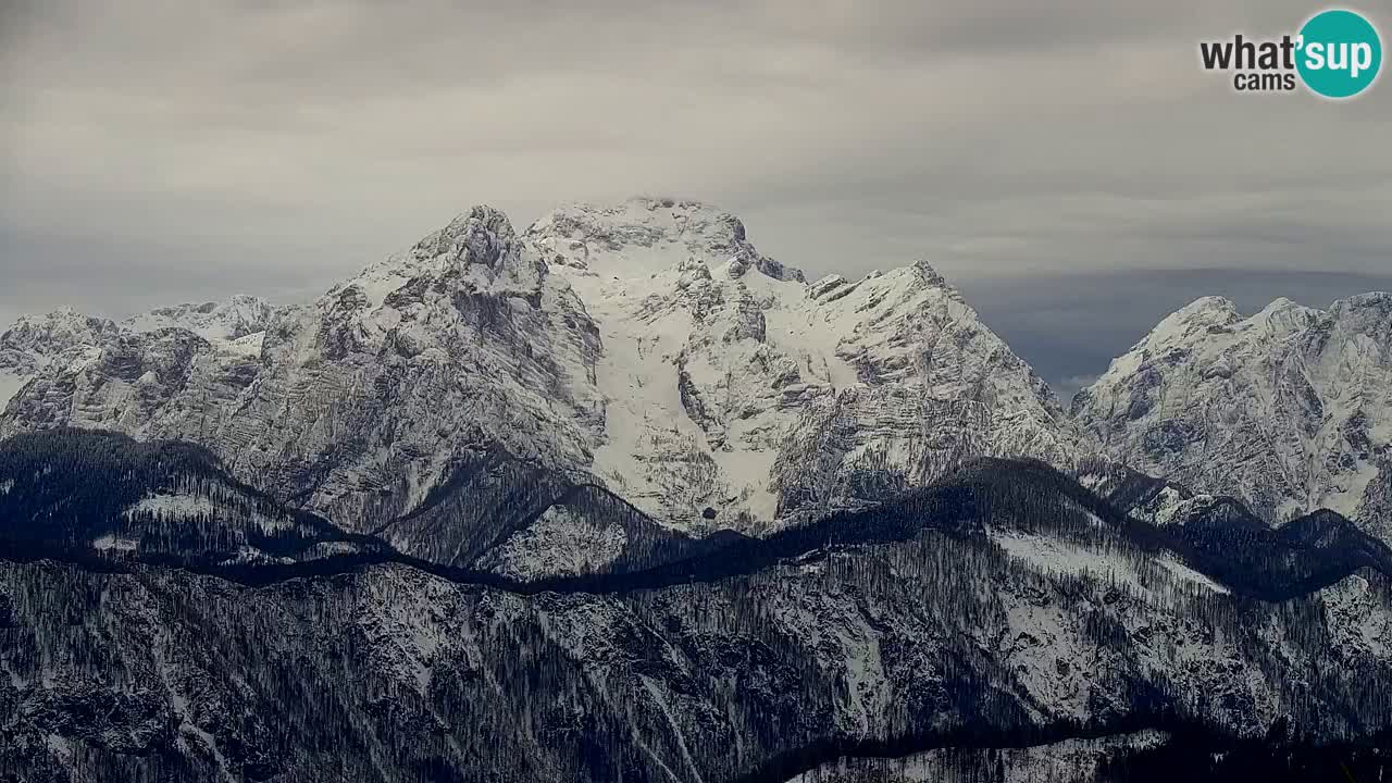 Spletna kamera Koča na Golici (1582 m) – Jesenice