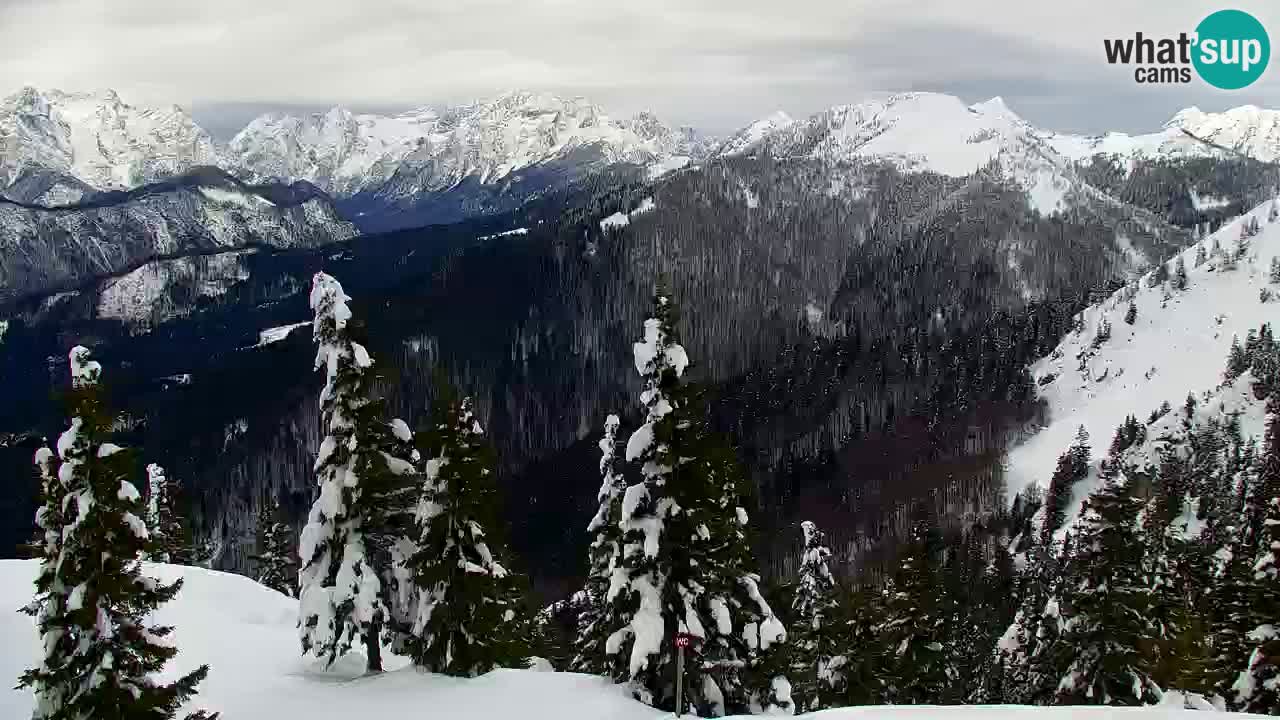 Spletna kamera Koča na Golici (1582 m) – Jesenice