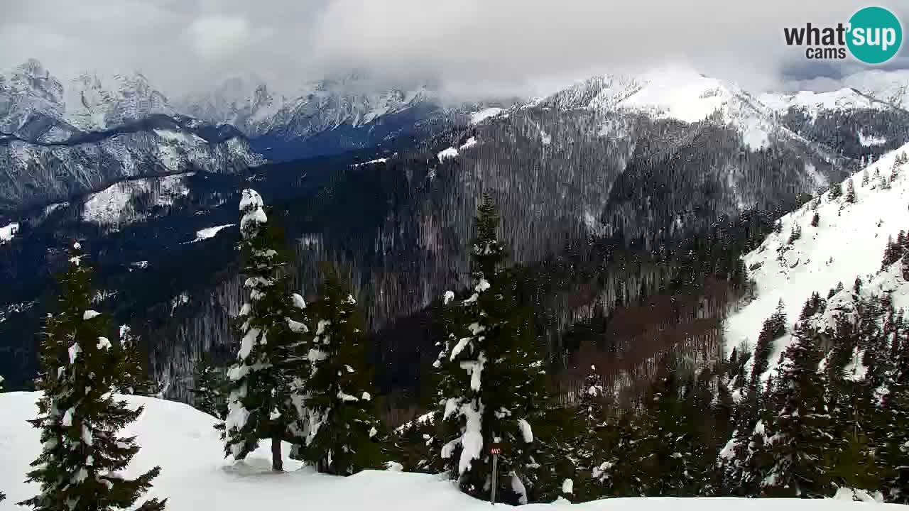 Webcam na Golici – Baita di montagna (1582 m) – Slovenia