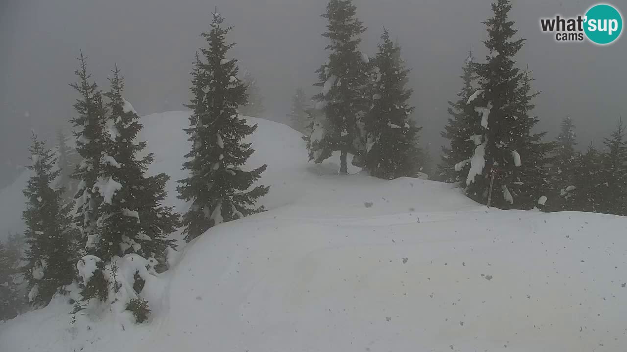 Webcam na Golici – Baita di montagna (1582 m) – Slovenia