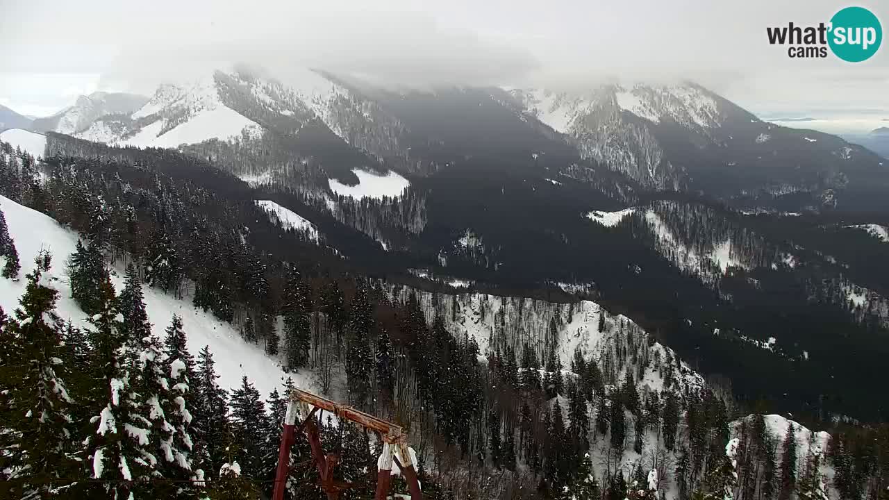 Webcam Koča na Golici (1582 m) – Slovenia