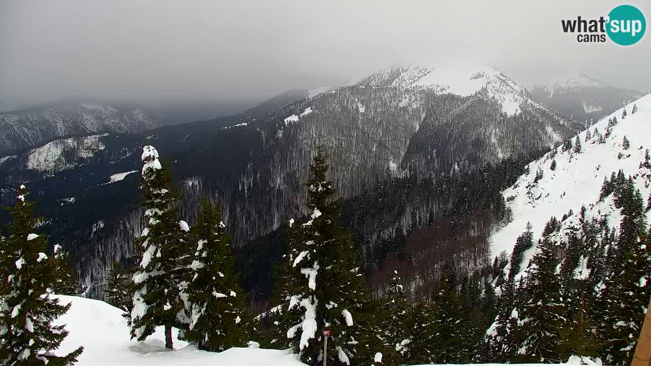 Webcam Koča na Golici (1582 m) – Slovenia