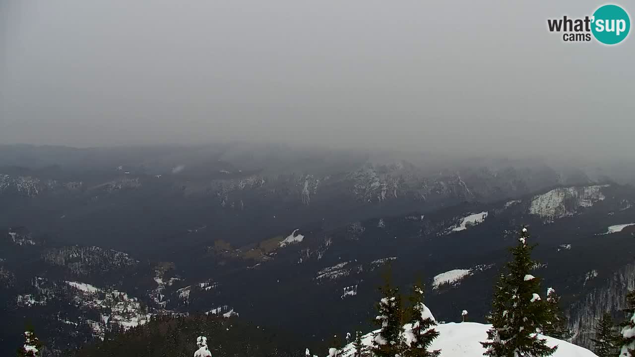 Koča na Golici Webcam (1582 m) – Slowenien