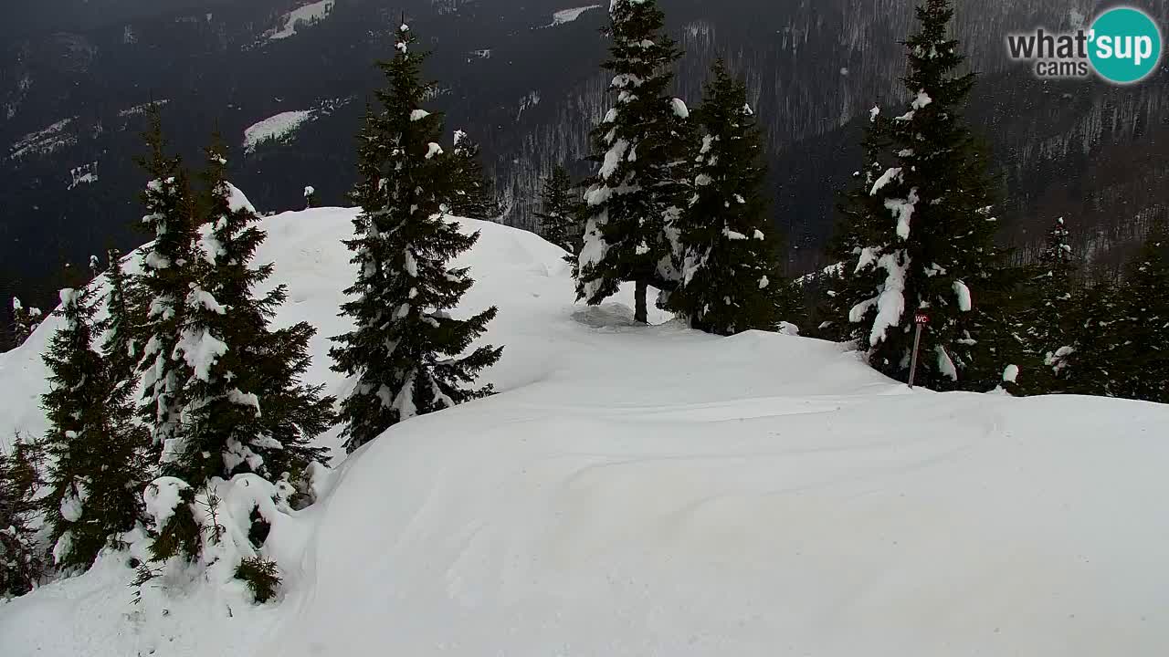 Spletna kamera Koča na Golici (1582 m) – Jesenice