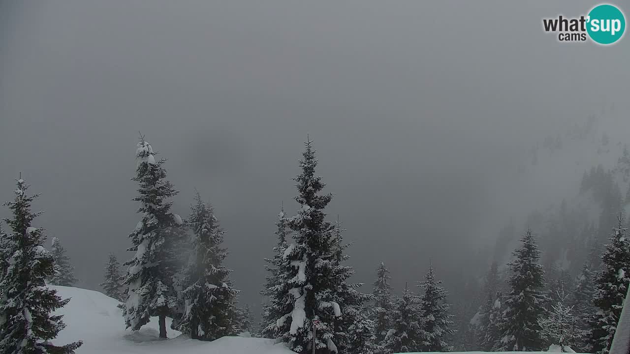 Web kamera Koča na Golici (1582 m) – Slovenija