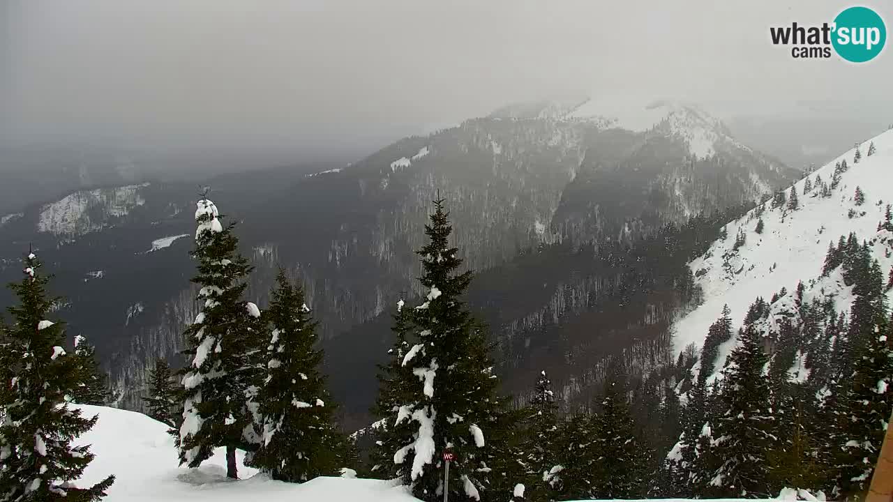 Webcam en Golica (1582 m) – Eslovenia