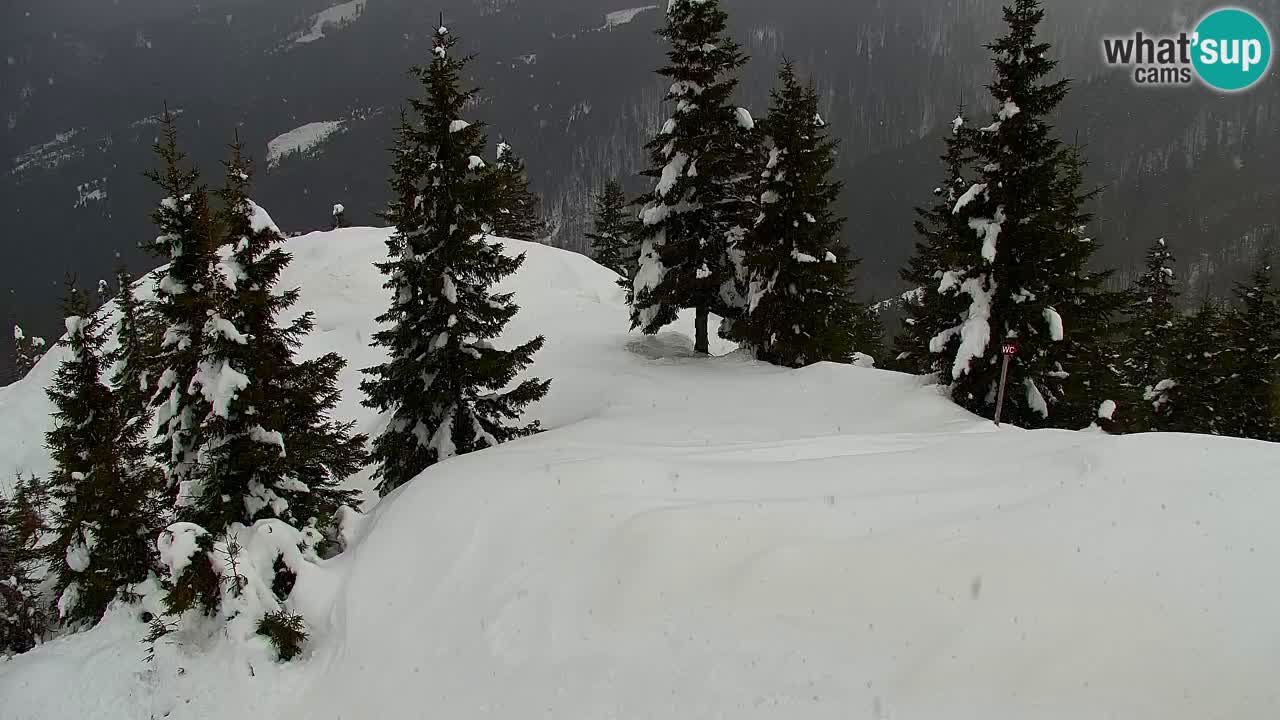 Koča na Golici Webcam (1582 m) – Slowenien