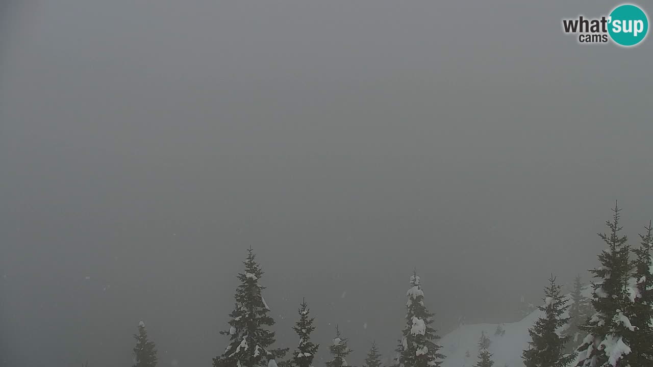 Webcam na Golici – Baita di montagna (1582 m) – Slovenia