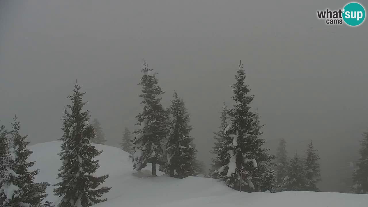 Webcam Chalet sur Golica (1582 m) – Slovénie