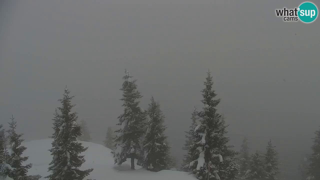 Webcam en Golica (1582 m) – Eslovenia