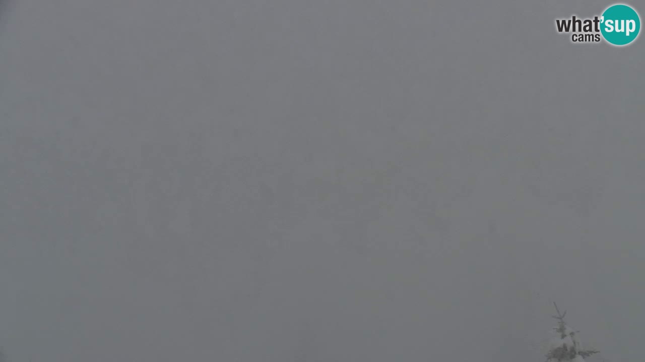 Webcam na Golici – Baita di montagna (1582 m) – Slovenia