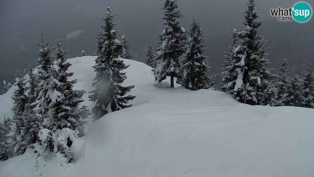 Koča na Golici Webcam (1582 m) – Slowenien