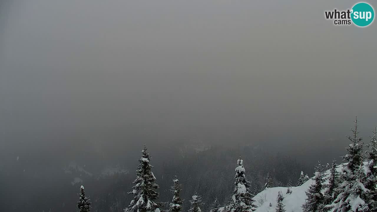 Webcam na Golici – Baita di montagna (1582 m) – Slovenia