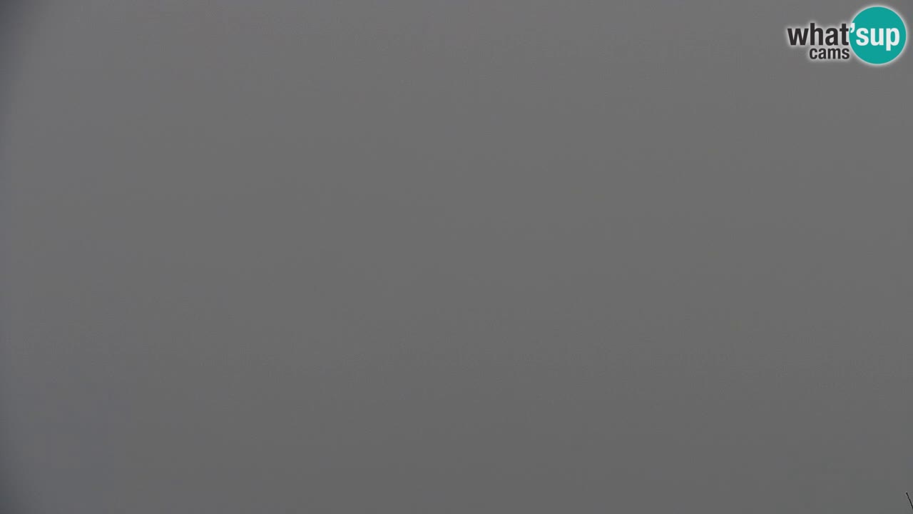 Webcam Koča na Golici (1582 m) – Slovenia