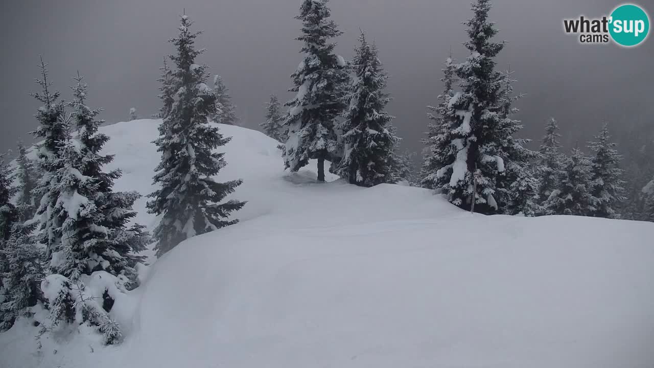 Webcam Chalet sur Golica (1582 m) – Slovénie