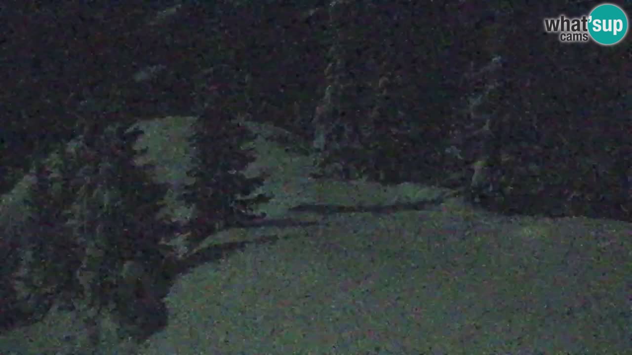 Webcam Koča na Golici (1582 m) – Slovenia