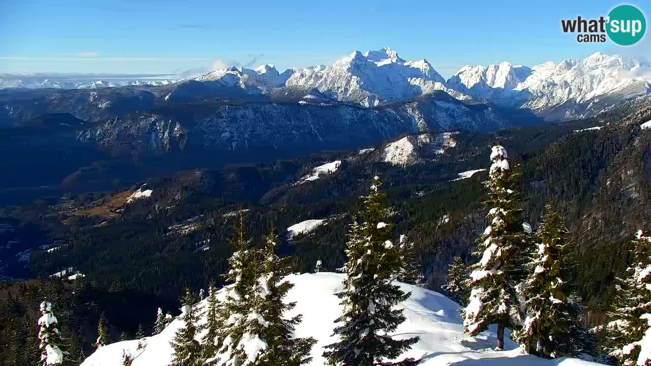 Spletna kamera Koča na Golici (1582 m) – Jesenice