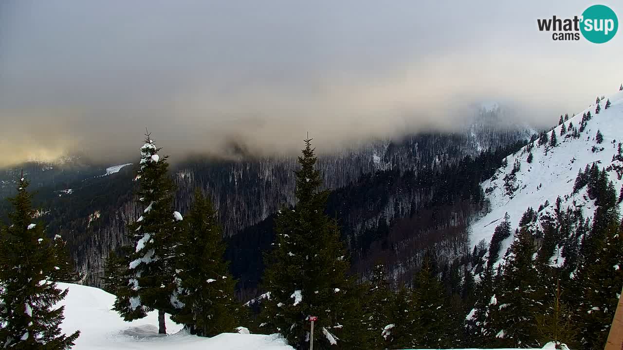 Webcam Koča na Golici (1582 m) – Slovenia