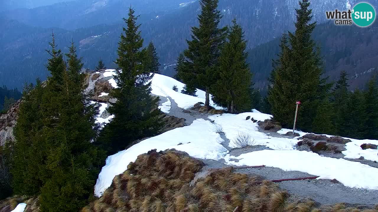 Webcam na Golici – Baita di montagna (1582 m) – Slovenia